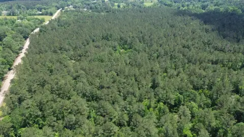 Holden, LA Vacant Land