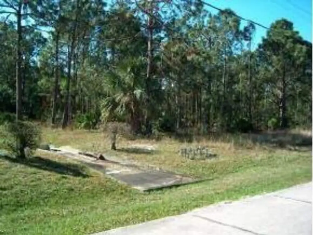 Picture 2