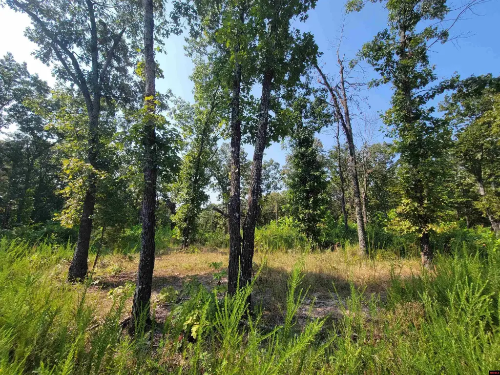 Picture 8