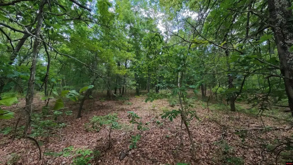 Picture 11