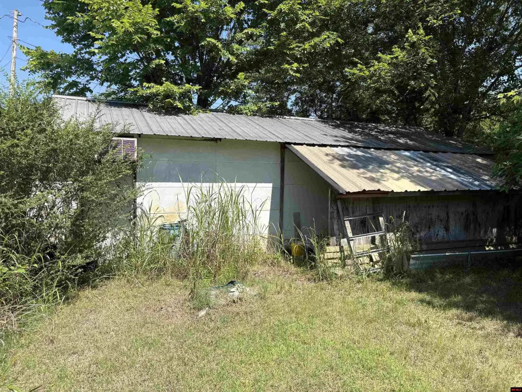 Picture 23