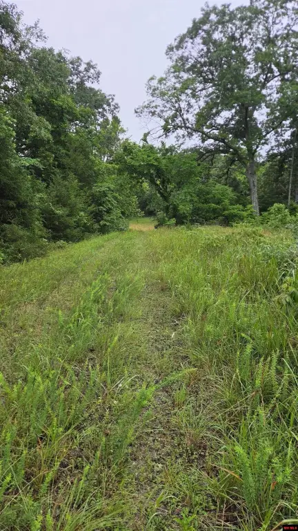 Picture 21