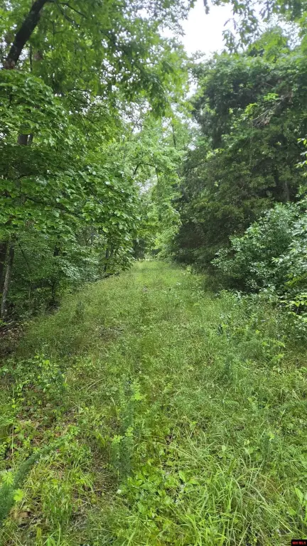 Picture 40