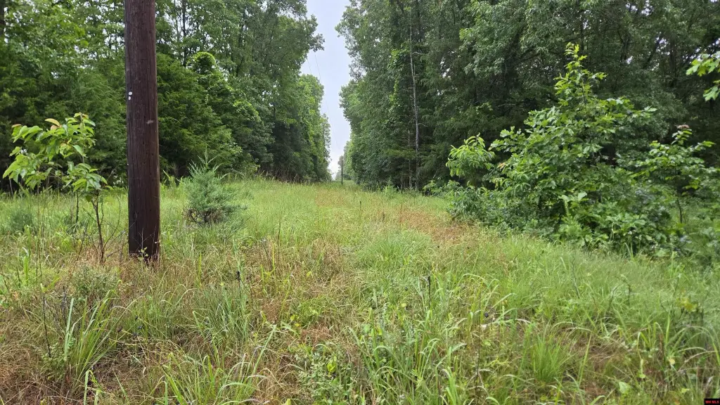 Picture 3