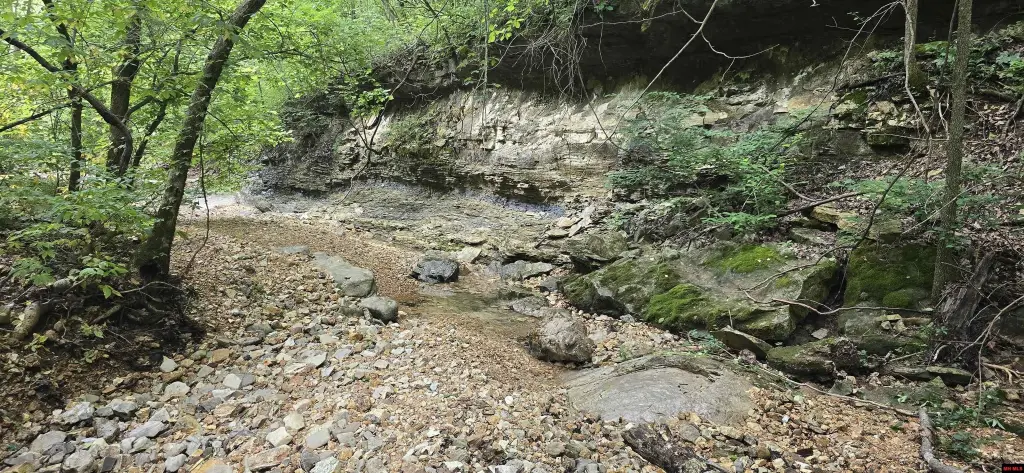 Picture 6