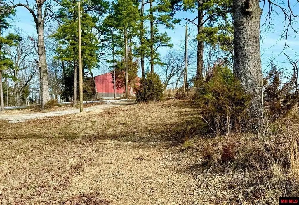 Picture 14