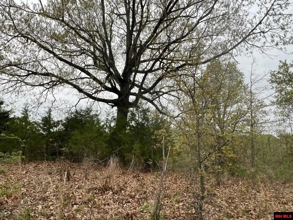 Picture 36