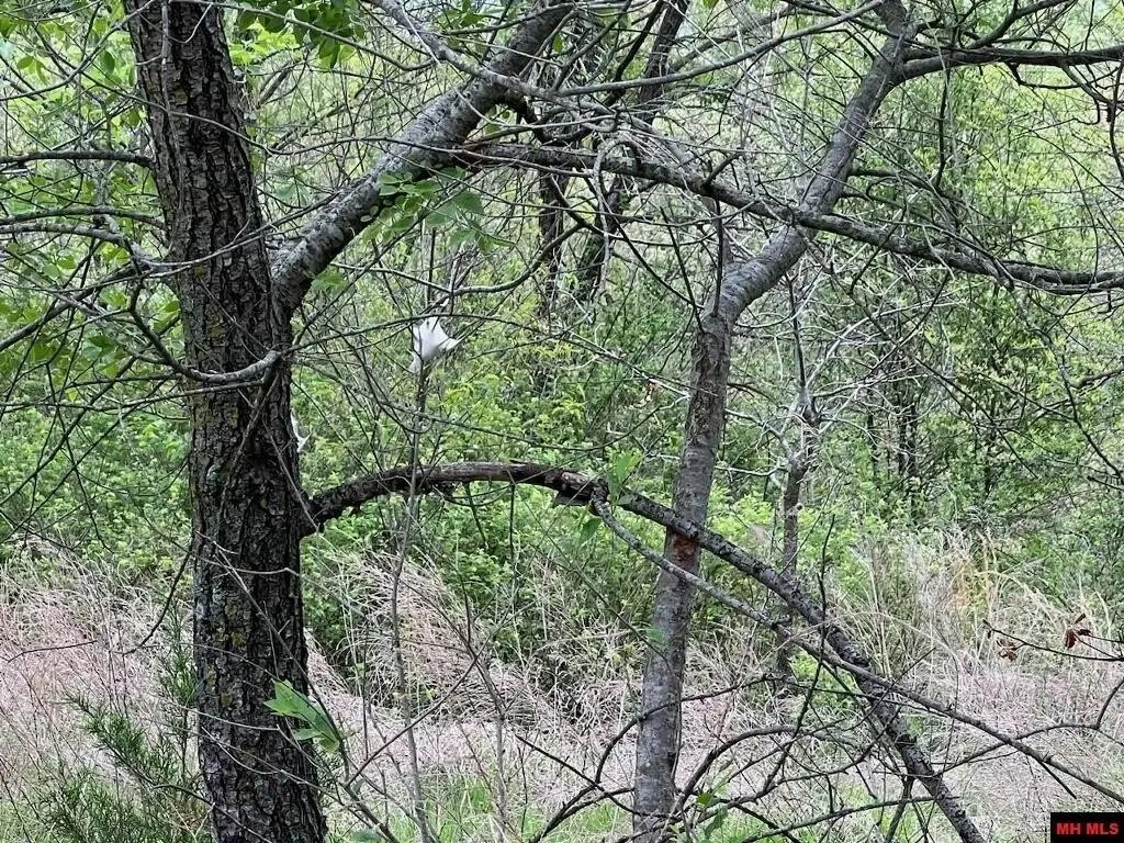 Picture 37