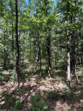 10 Acres Near Outdoor Recreation