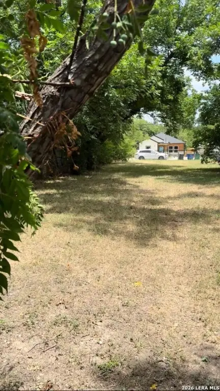 Picture 4