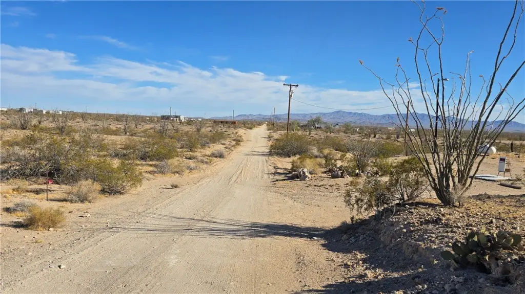 Picture 23