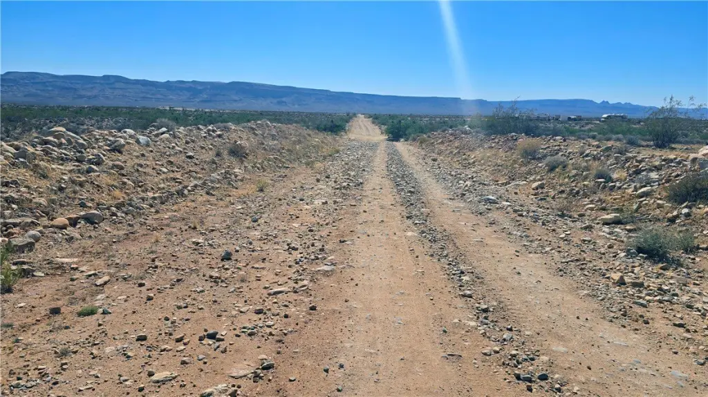 Picture 23