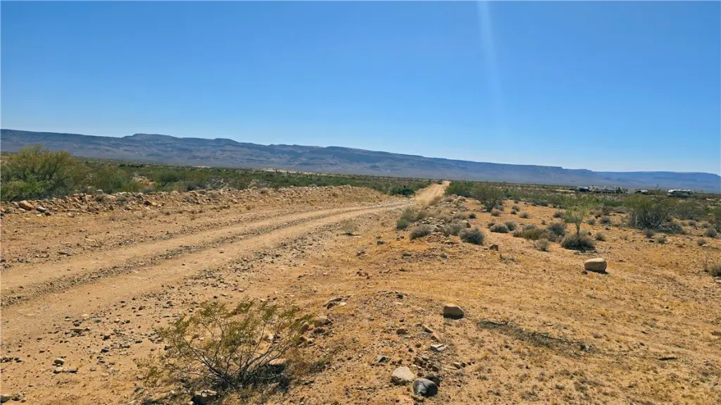 Picture 15