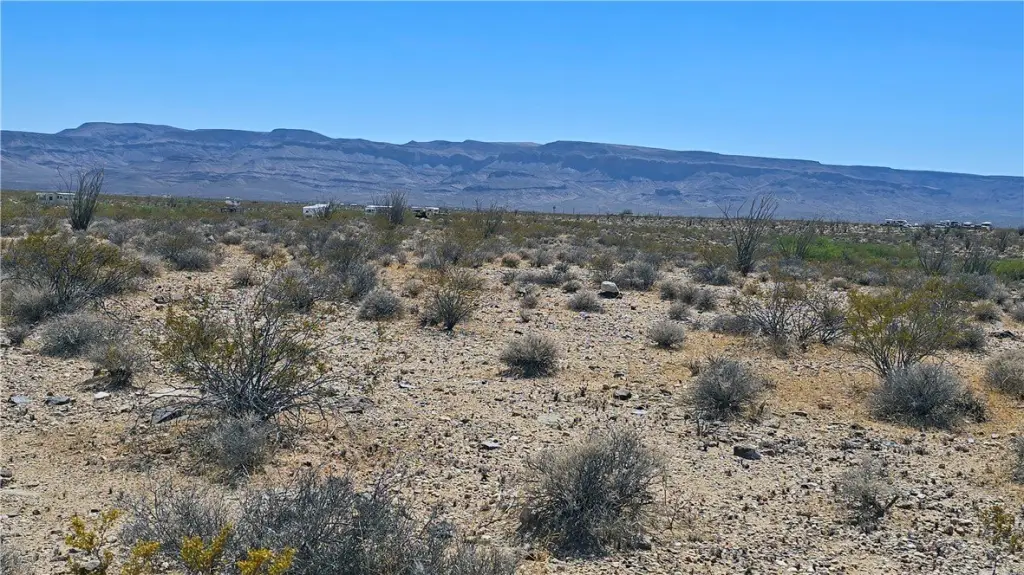 Picture 6