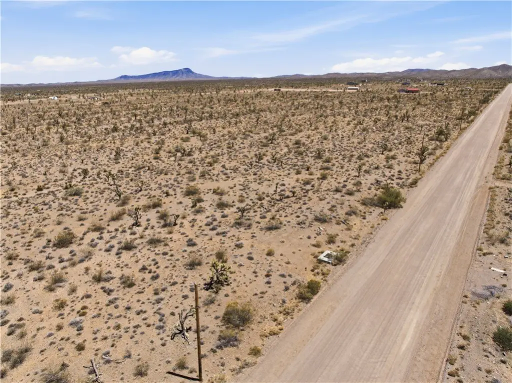 Picture 3