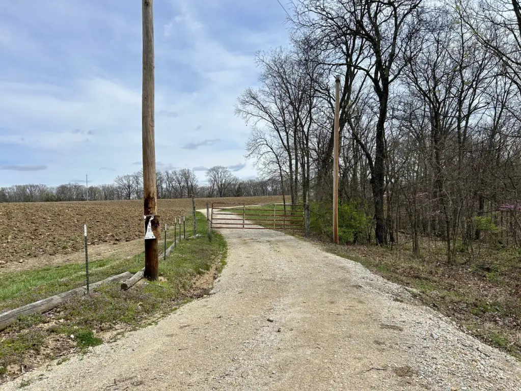 Picture 19