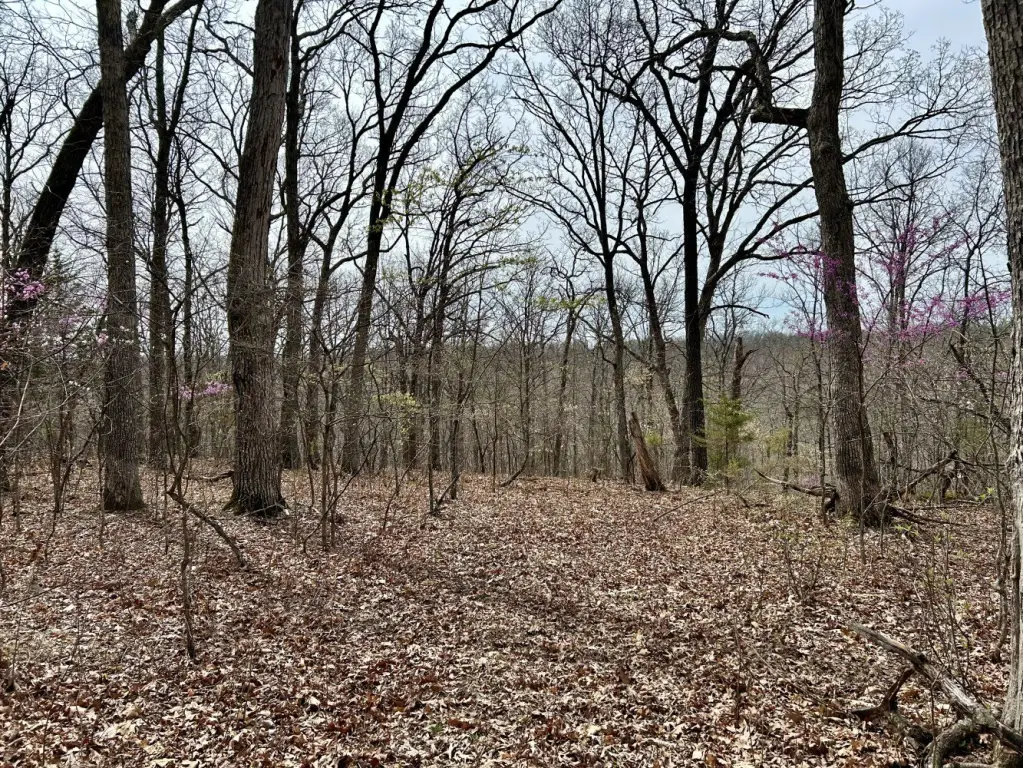 Picture 23