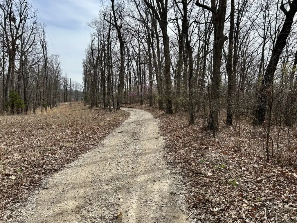 Picture 21