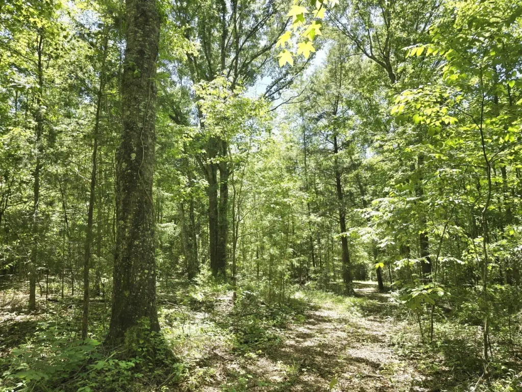 Picture 4