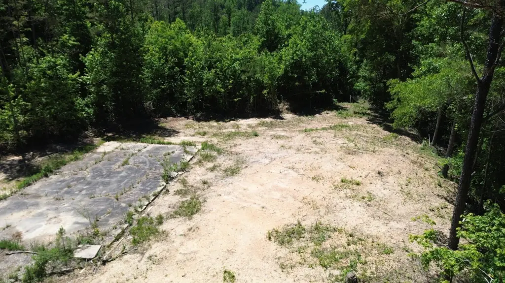 Picture 6