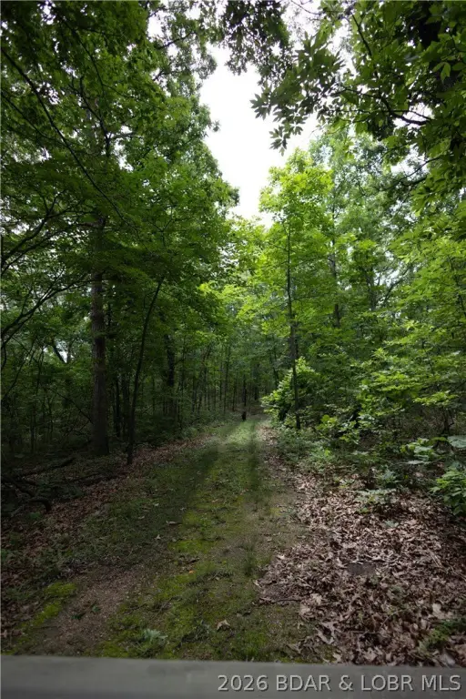 Picture 28