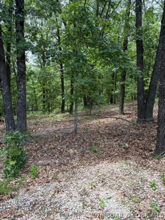 Picture 6