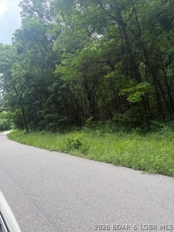 Picture 12