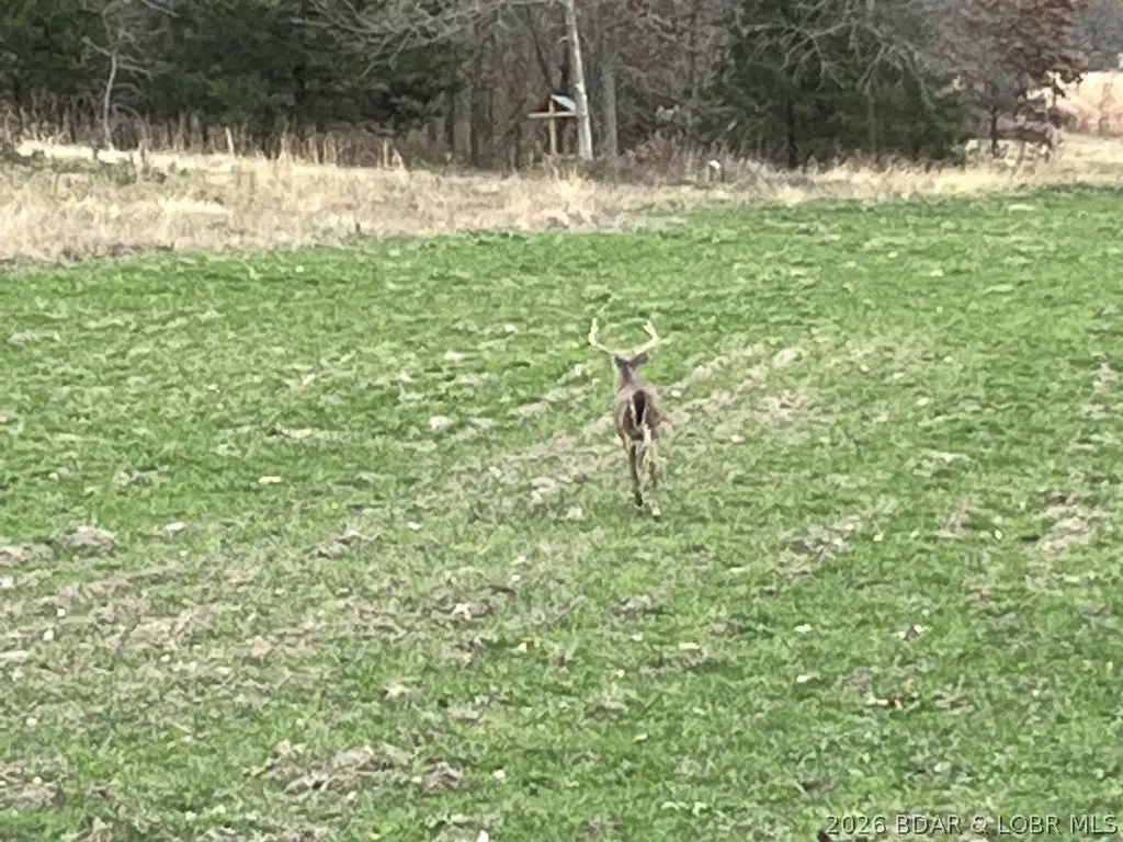 Picture 32