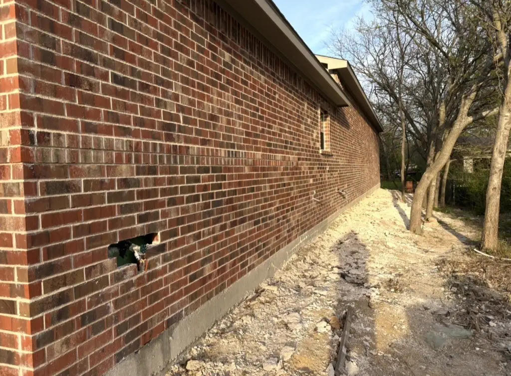 Picture 5