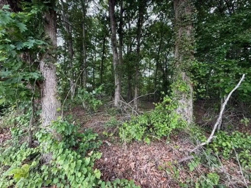 Picture 7