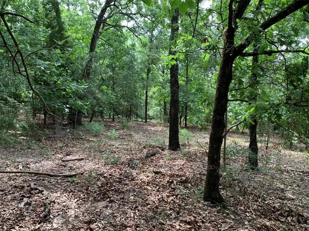 Picture 14