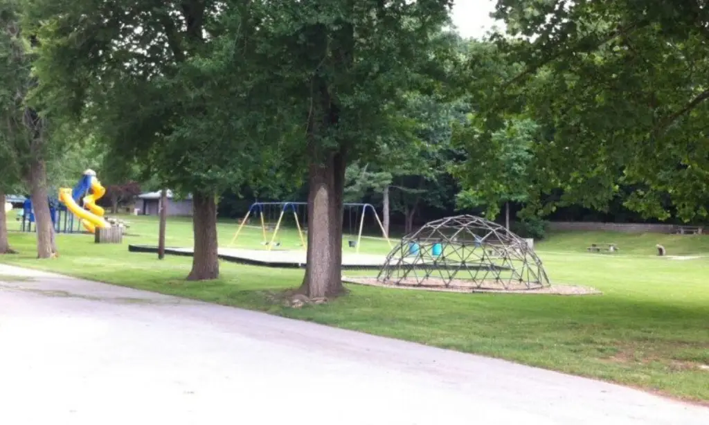 Picture 8