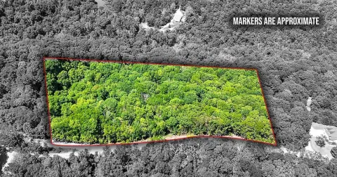Wooded Land Near Beaver Lake