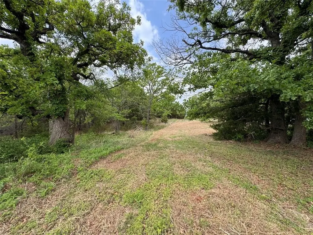 Picture 16