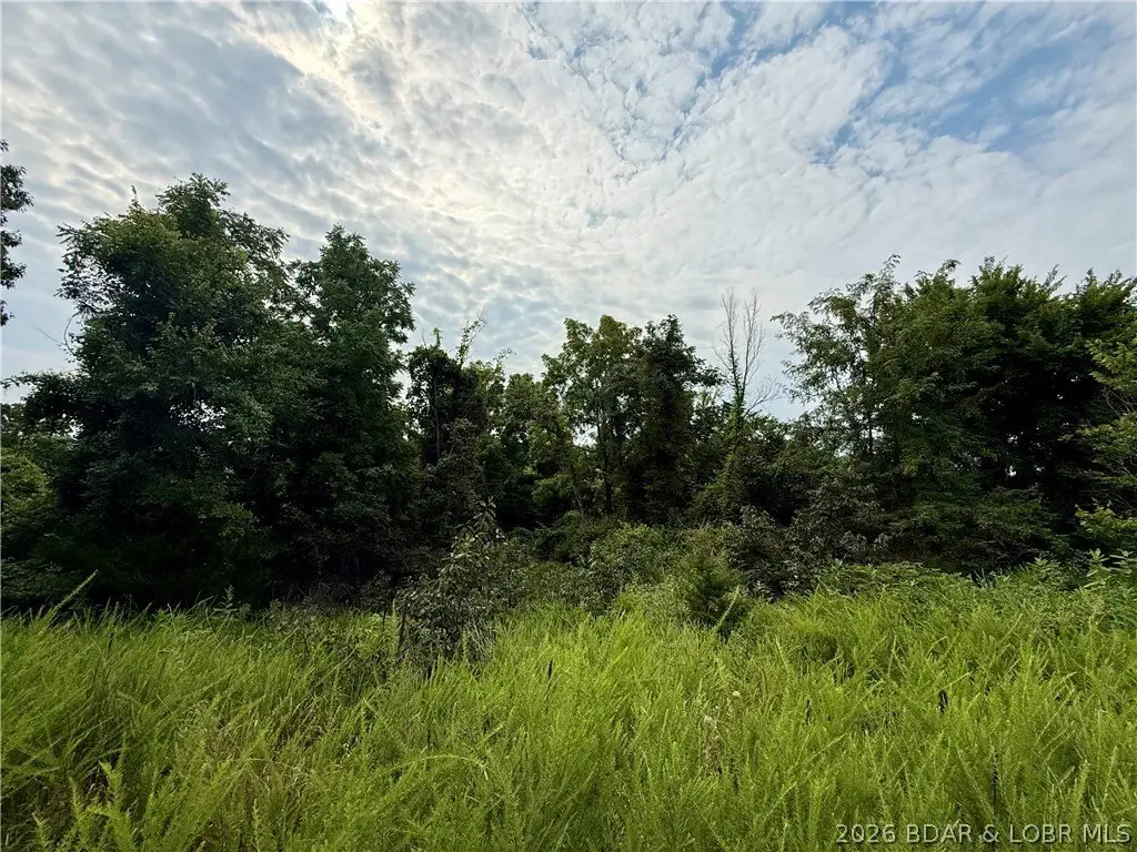 Picture 8