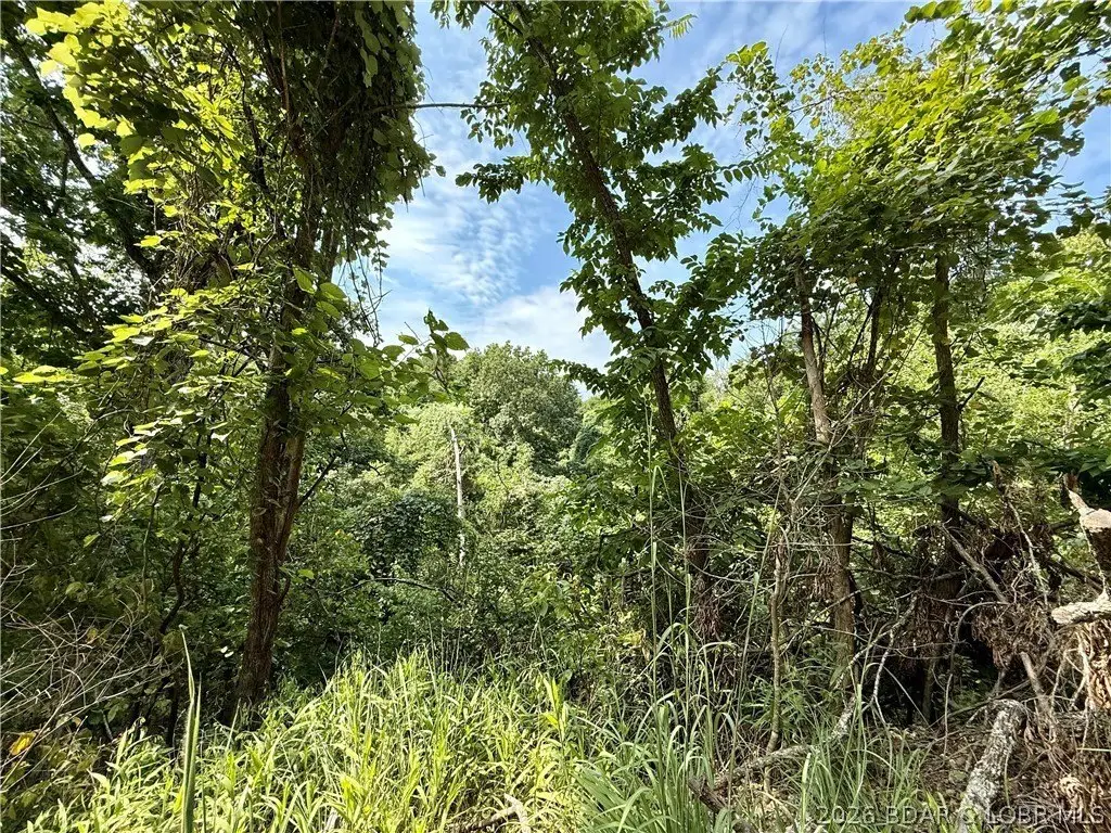Picture 16