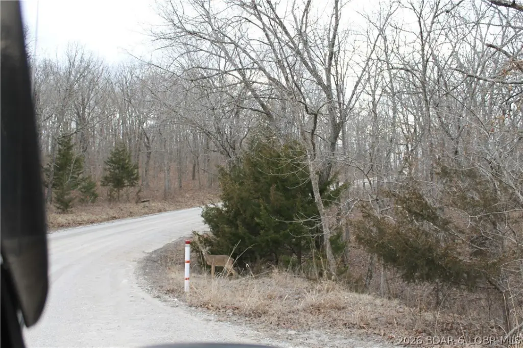 Picture 5