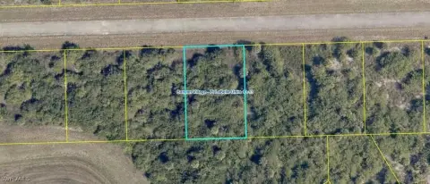 Residential Land in Labelle, FL