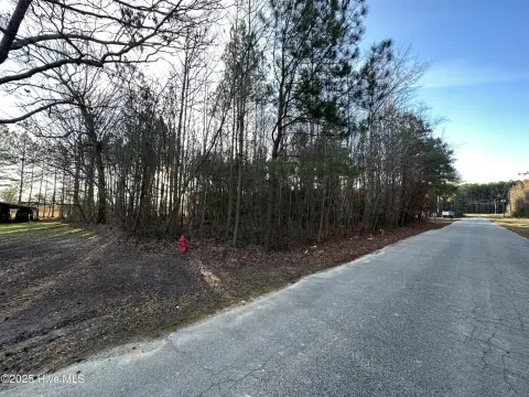 Residential Lot in Conway, NC