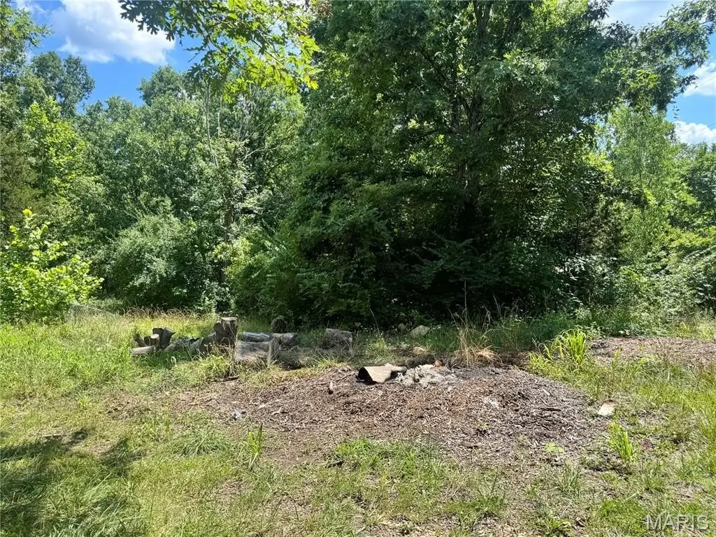 Picture 3