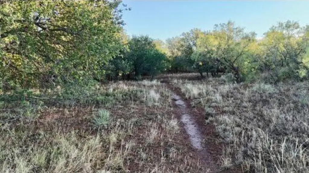 Picture 2
