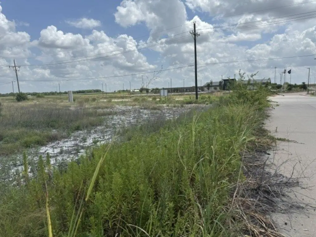 Picture 4