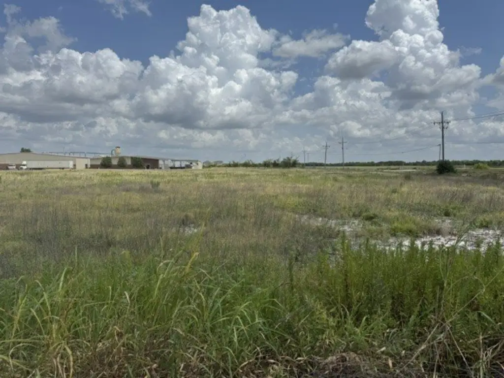 Picture 3