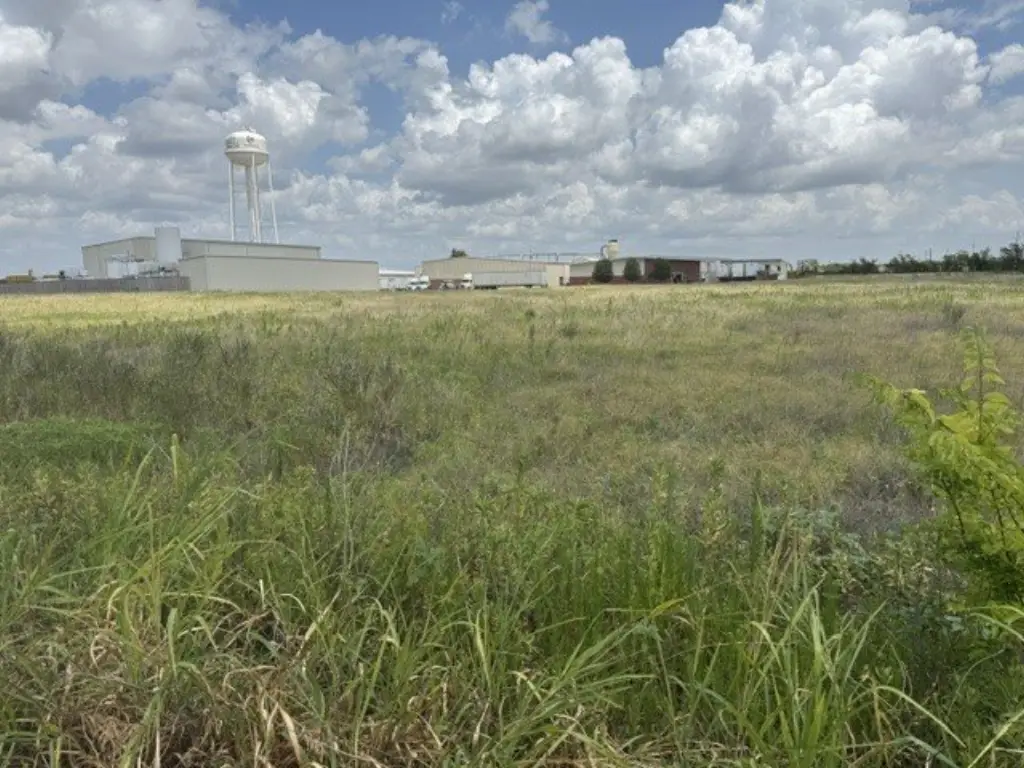 Picture 5