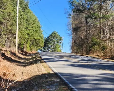 91 Acres Versatile Guntersville Land