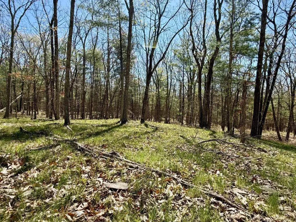 Picture 8