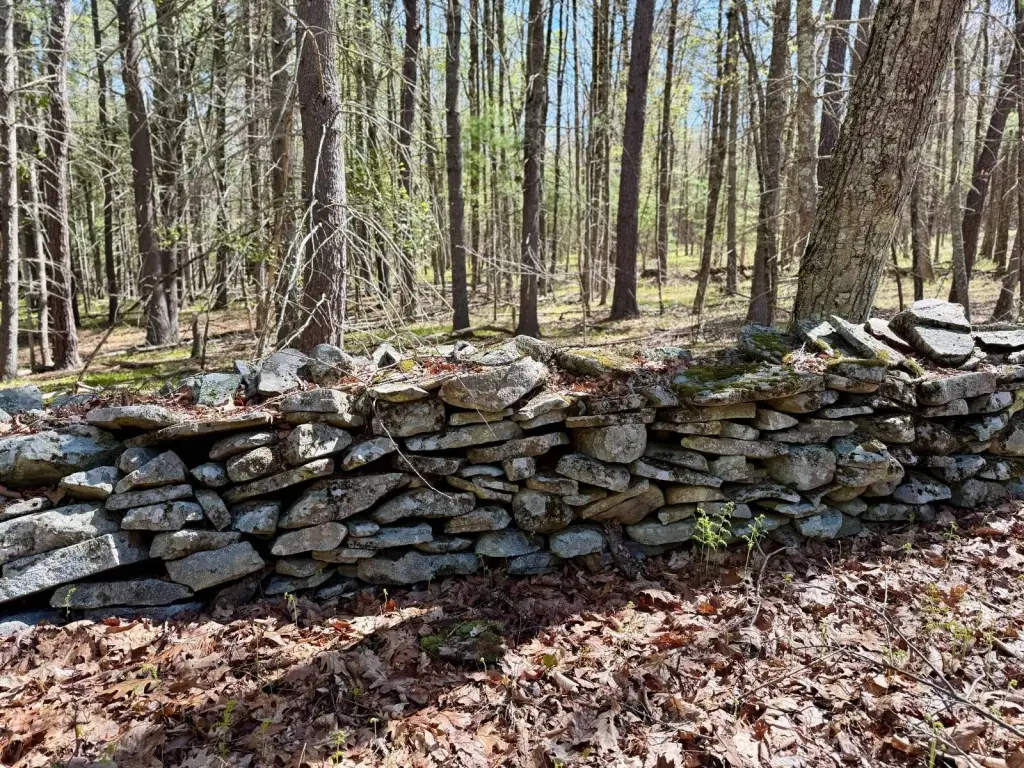 Picture 25