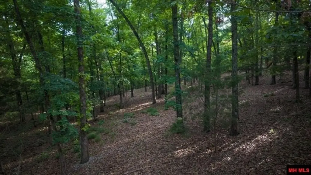 Picture 7