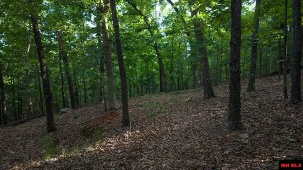 Picture 4