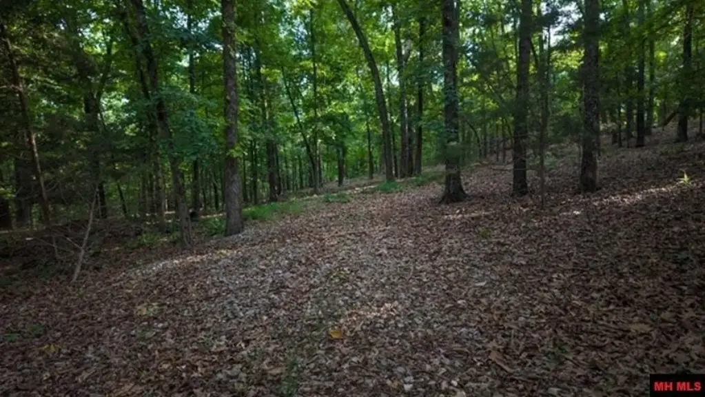 Picture 6
